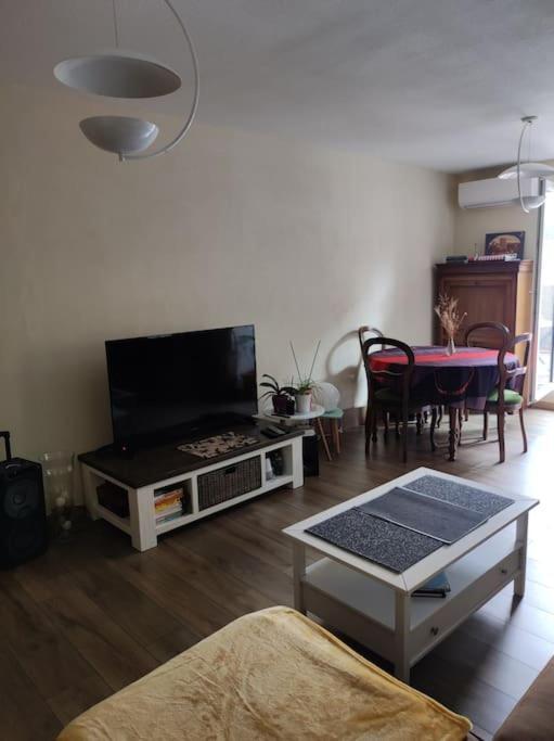 Chez Nathalie Pres De La Gare Carcassonne Zewnętrze zdjęcie